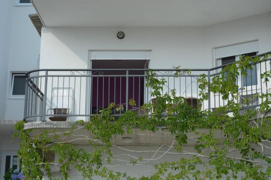 Recommendation For Small And Young Families Duće Exterior foto